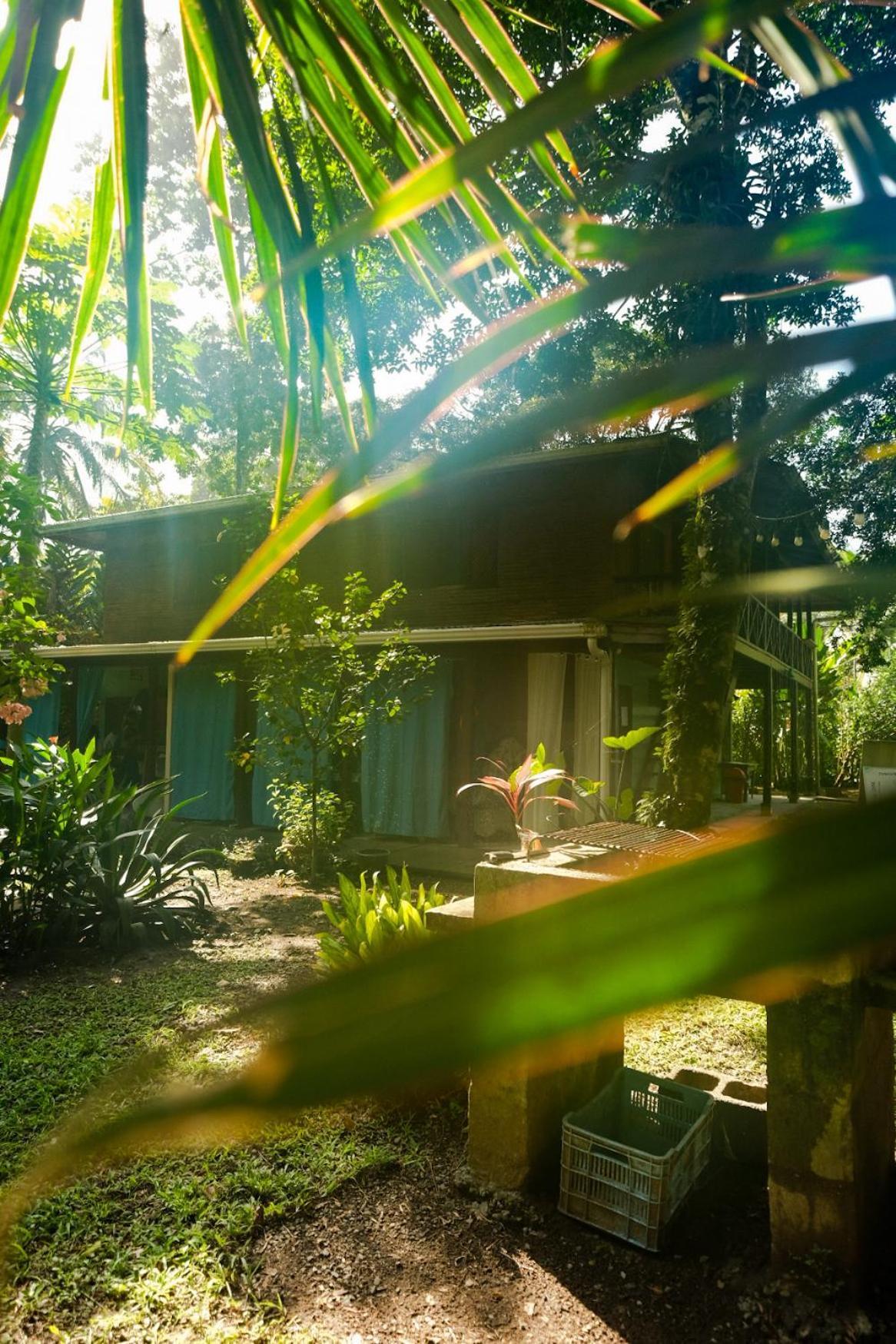 Hotel Casa Aldirica à Cahuita Extérieur photo